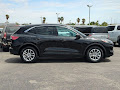 2022 Ford Escape Hybrid SE